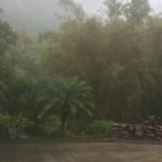 Rain in Palolo Valley
