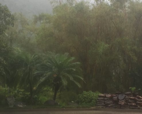 Rain in Palolo Valley